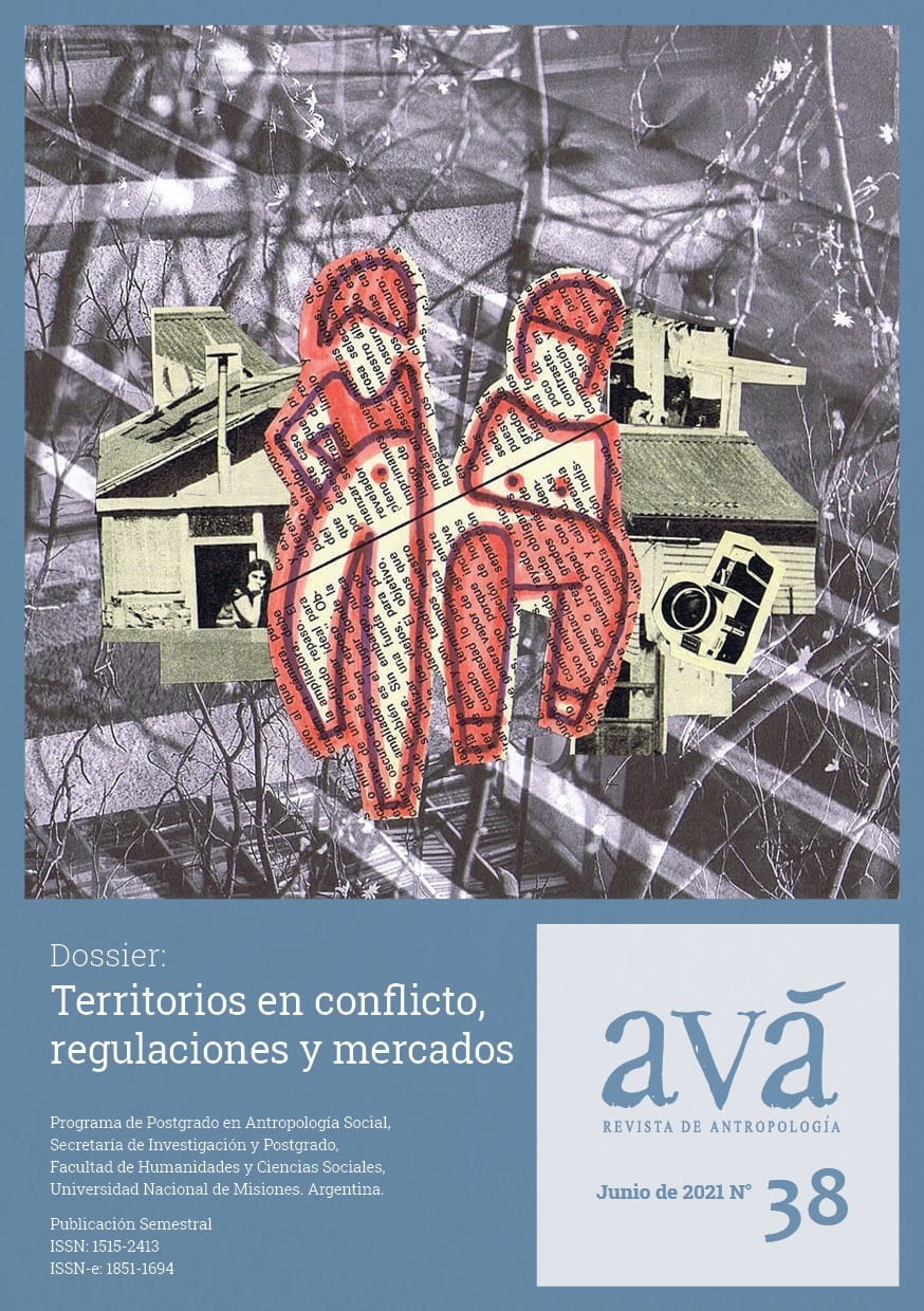 Ava 38. Territorios en conflicto, regulaciones y mercados